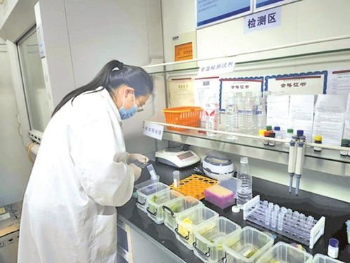 無錫農貿市場實現快檢全覆蓋，上半年檢測90多萬批次合格率超99%